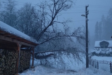 Orez stromov na vyšnom konci